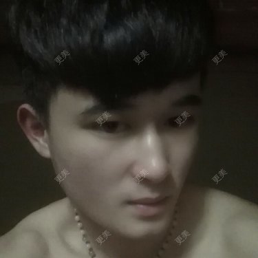 荷柏园～～小俊