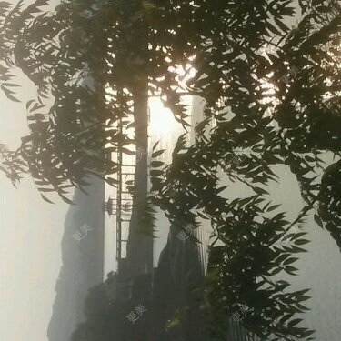 眼科其他