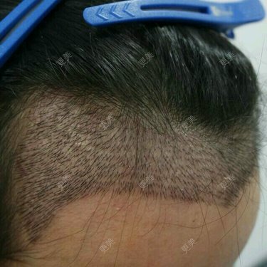 为什么我不能叫娃哈哈