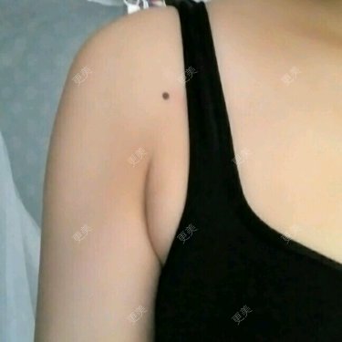 一只青蛙跳下水
