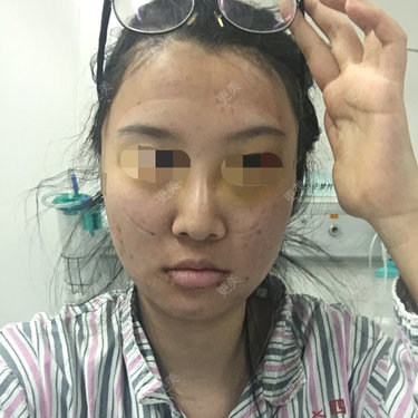 绿猫