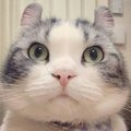琳er响叮当