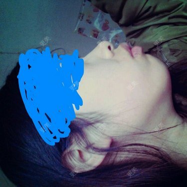 傻虫虫