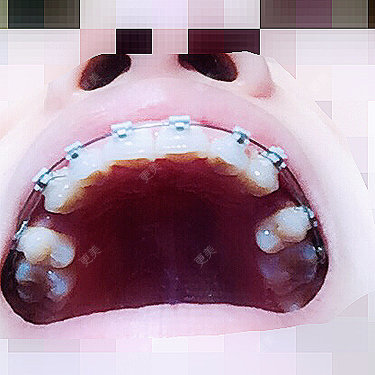硕硕7873