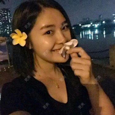 倔强的石头