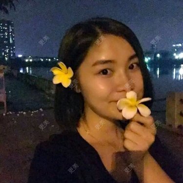 倔强的石头