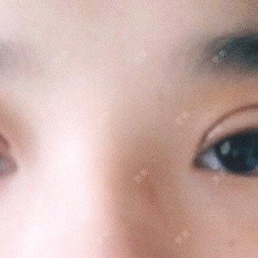 圈圈小恐龙