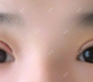 圈圈小恐龙