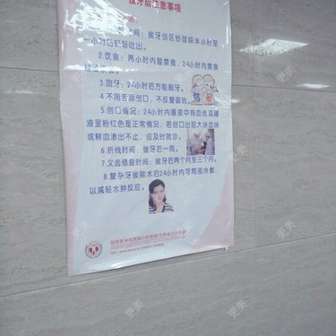 老猫一只毛