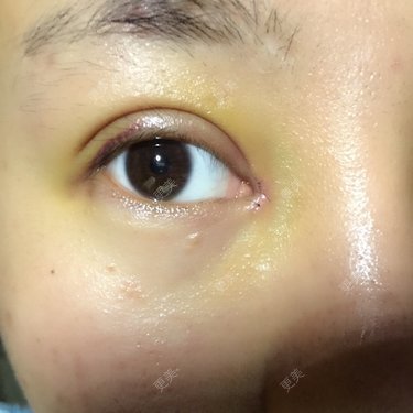 九尾猫的日记