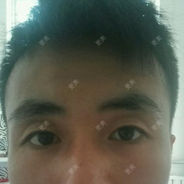 飞鸟小哥