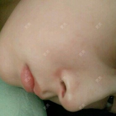 兔子君儿