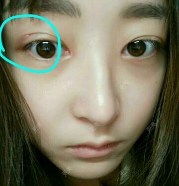 兔子君儿
