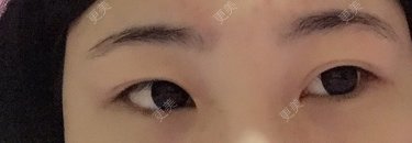注定孤独无依 🌸