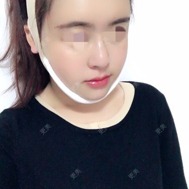 泡泡猪猪