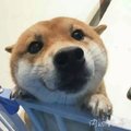 我爱19天