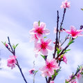 💕幸运儿🍀优优🌸