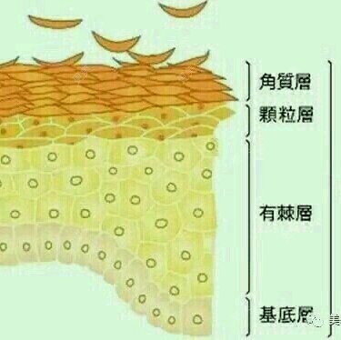 武汉美基元医疗美容医院