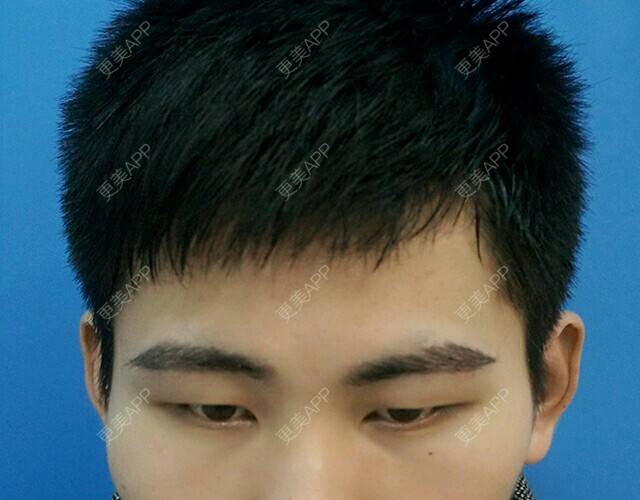 文科男先生的植眉日记