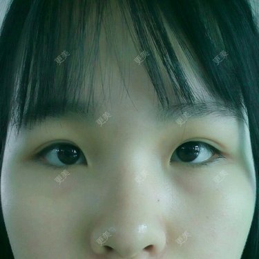 萌了个林