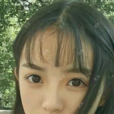 萌了个林