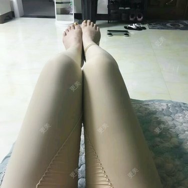 花无舞