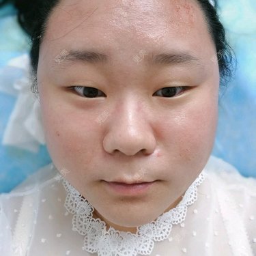 ✿西伯利亚的蝴蝶✿