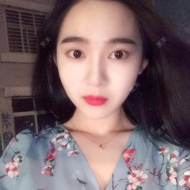 绿野仙踪踪踪