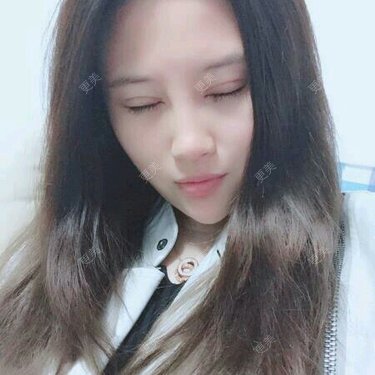 会说话的小橘猫