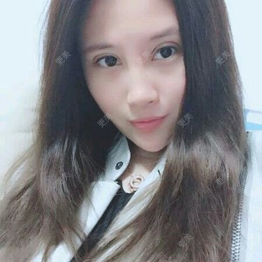 会说话的小橘猫