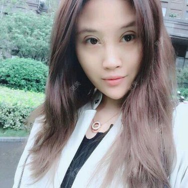 会说话的小橘猫