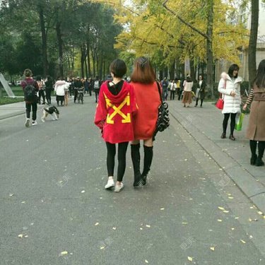 我爱这浪漫的秋意