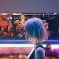 白小白dm