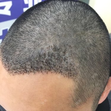 本性难移