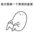 大灿灿呀