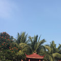 修人修心