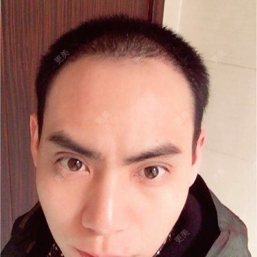 刘歪歪sir