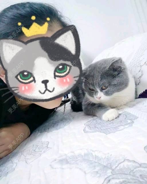 更美 - 蒲公英和猫的妊娠纹经验 | 妊娠纹 | 西安