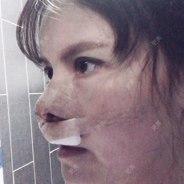 喵星球上的女王