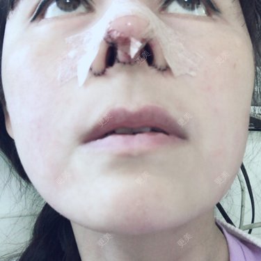 喵星球上的女王