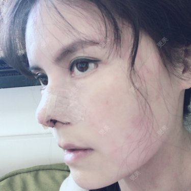 喵星球上的女王