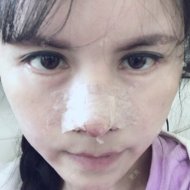 喵星球上的女王