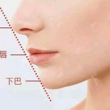刘晋元 医生