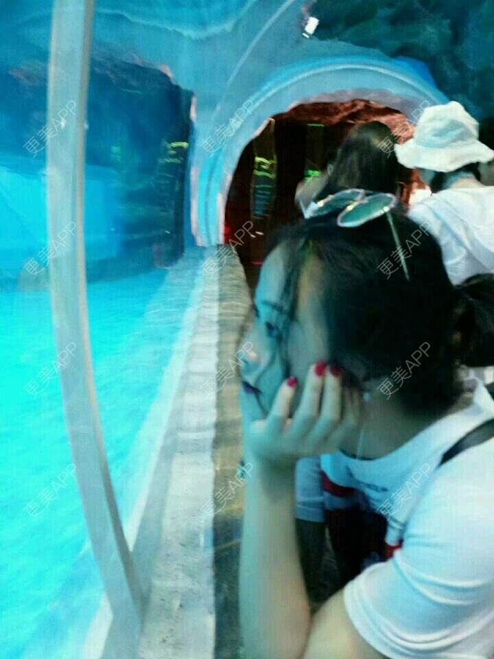 北京海洋馆旅游日记(北京海洋馆旅游日记400字)