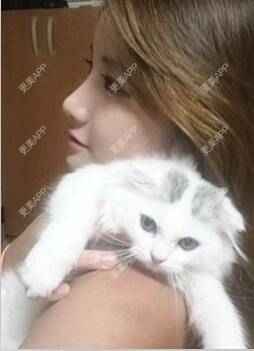 更美 - 苍卉的自体脂肪隆鼻经验 | 自体脂肪隆鼻 | 西安