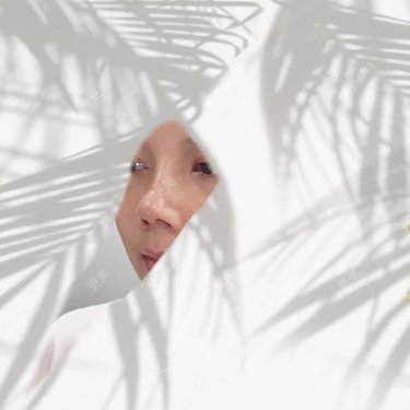更美研究所
