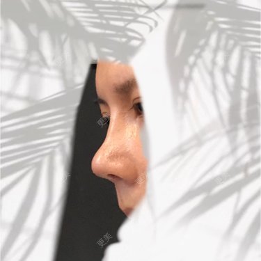 更美研究所