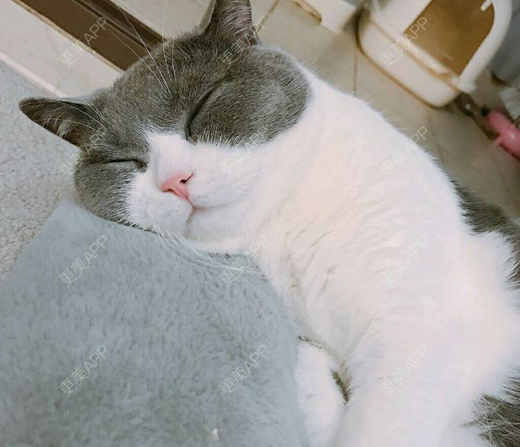 更美 - 睇斐的冷光美白经验 | 成都 | 冷光美白