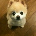 敲敲敲敲阔爱丶