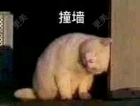 玻尿酸